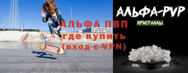 стафф Кодинск