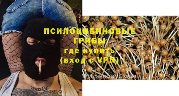 стафф Кодинск