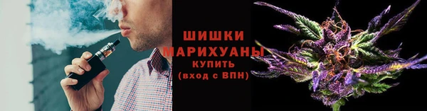 стафф Кодинск