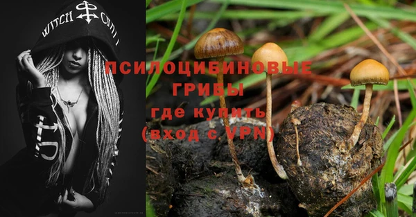 стафф Кодинск