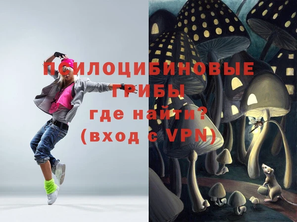 стафф Кодинск