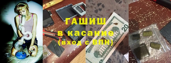 стафф Кодинск