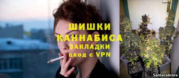 стафф Кодинск