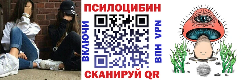 Купить  Курильск  Псилоцибиновые грибы мухоморы 